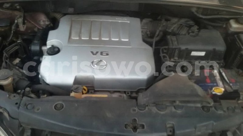 Big with watermark 65311976 949407475401038 5525604515841048576 n