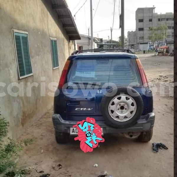 Big with watermark 66414624 956866604655125 4116407217534533632 n 1562765300562