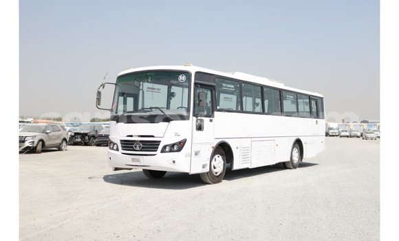 Sayi Imported Tata Xenon White Mota in Import - Dubai a Benin