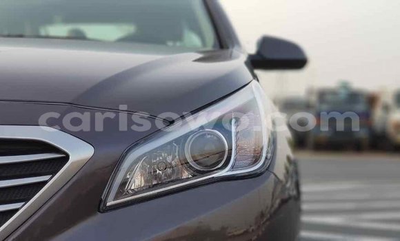 Buy Import Hyundai Sonata Brown Car in Import - Dubai in Benign Buy Import Hyundai Sonata Brown Car in Import - Dubai in Benign