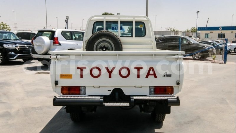 Big with watermark 12