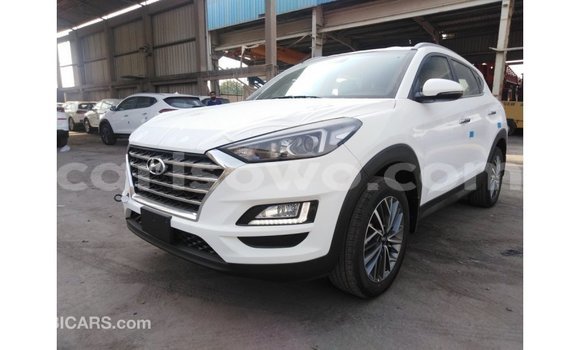 Buy Import Hyundai Tucson White Car in Import - Dubai in Benign Buy Import Hyundai Tucson White Car in Import - Dubai in Benign