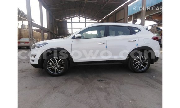 Buy Import Hyundai Tucson White Car in Import - Dubai in Benign Buy Import Hyundai Tucson White Car in Import - Dubai in Benign
