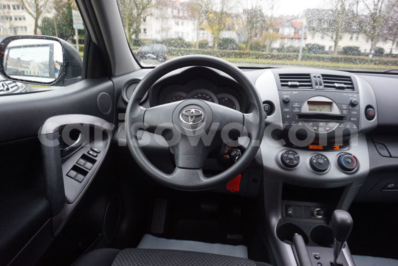 Big with watermark 563254124 7