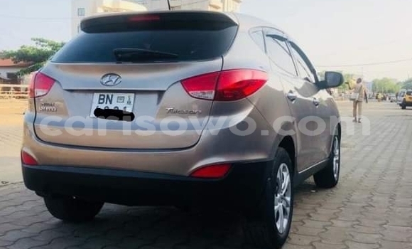 Sayi Na hannu Hyundai Tucson Brown Mota in Cotonou a Benin Sayi Na hannu Hyundai Tucson Brown Mota in Cotonou a Benin