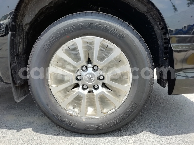 Big with watermark 10