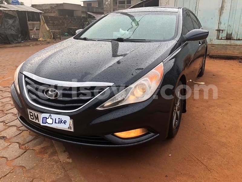 Big with watermark 67049386 2973729439364286 2512654957350486016 n