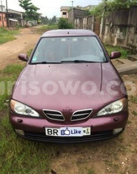 Big with watermark 67164859 2973750492695514 1046621313138950144 n