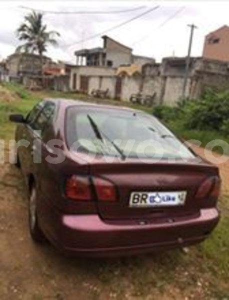 Big with watermark 67313666 2973750582695505 8987592509991419904 n