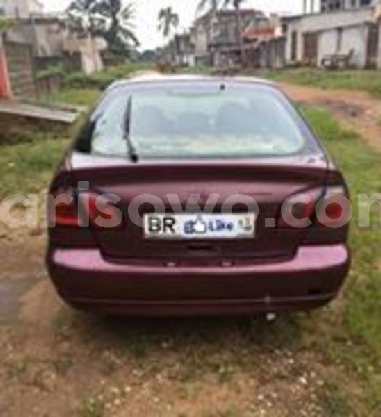 Big with watermark 66734125 2973750656028831 5751966171561721856 n