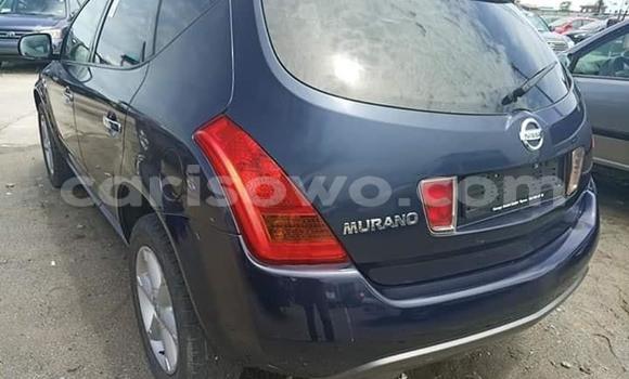 Sayi Na hannu Nissan Murano Blue Mota in Cotonou a Benin Sayi Na hannu Nissan Murano Blue Mota in Cotonou a Benin