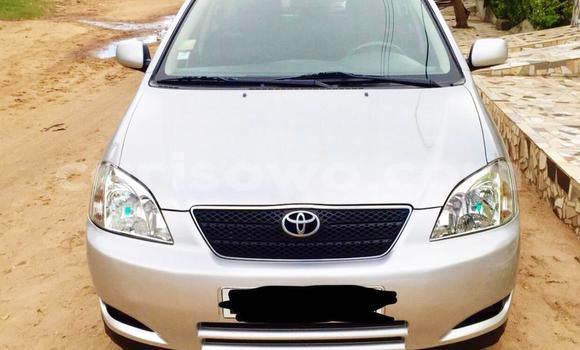 Ra Àlòkù Toyota Corolla Silver Ọkọ̀ in Cotonou ni Benin Ra Àlòkù Toyota Corolla Silver Ọkọ̀ in Cotonou ni Benin