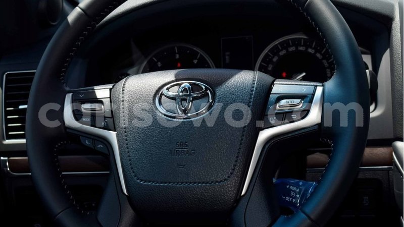 Big with watermark 10