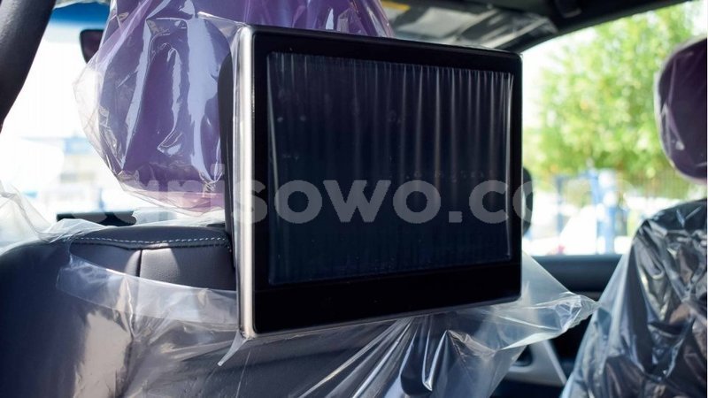 Big with watermark 13