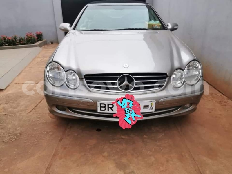 Big with watermark 67089136 967813600227092 4947338545833443328 n 1564153169798