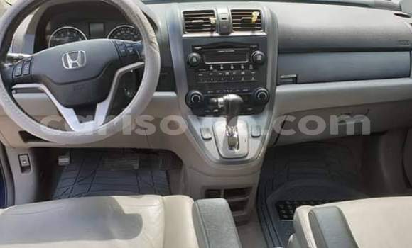 Buy Used Honda CR–V Blue Car in Cotonou in Benign Buy Used Honda CR–V Blue Car in Cotonou in Benign