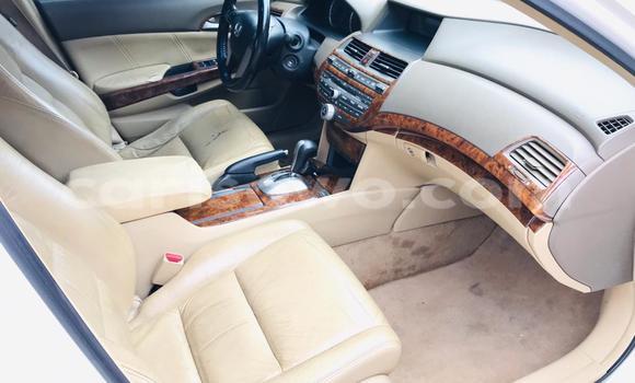 Acheter Occasion Voiture Honda Accord Blanc à Cotonou, Benin Acheter Occasion Voiture Honda Accord Blanc à Cotonou, Benin