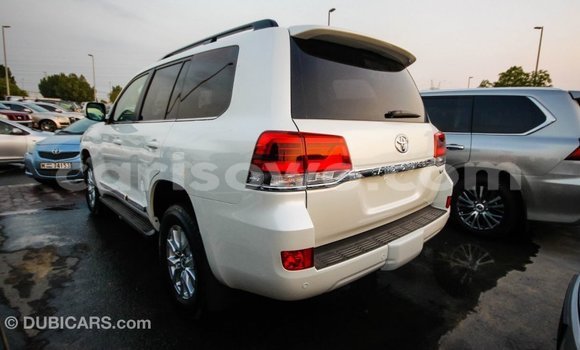 Buy Import Toyota Land Cruiser White Car in Import - Dubai in Benign Buy Import Toyota Land Cruiser White Car in Import - Dubai in Benign