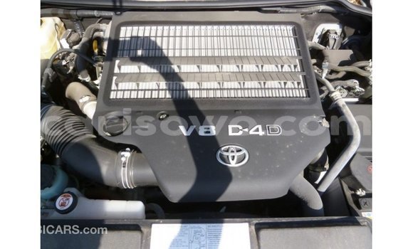 Buy Import Toyota Land Cruiser Other Car in Import - Dubai in Benign Buy Import Toyota Land Cruiser Other Car in Import - Dubai in Benign