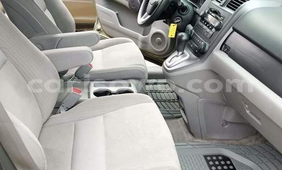 Ra Àlòkù Honda CR–V Alawọ ewe Ọkọ̀ in Cotonou ni Benin Ra Àlòkù Honda CR–V Alawọ ewe Ọkọ̀ in Cotonou ni Benin