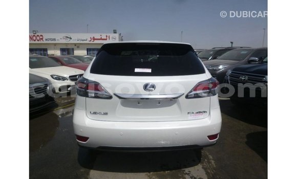 Buy Import Lexus RX White Car in Import - Dubai in Benign Buy Import Lexus RX White Car in Import - Dubai in Benign