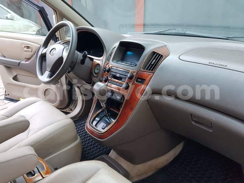 Big with watermark 69287012 993768364298282 3849920723204177920 o