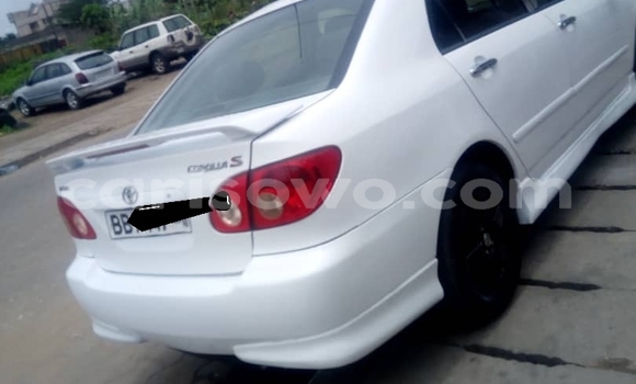 Ra Àlòkù Toyota Corolla funfun Ọkọ̀ in Cotonou ni Benin Ra Àlòkù Toyota Corolla funfun Ọkọ̀ in Cotonou ni Benin