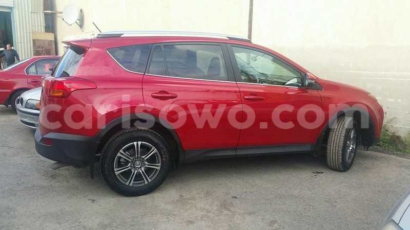 Big with watermark 12088463 914482525267872 7358251175747098590 n