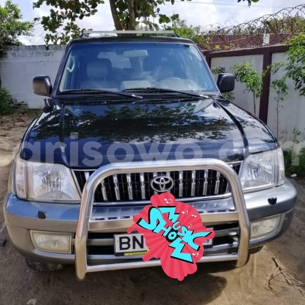 Big with watermark 70121816 999711807037271 8608418748262514688 n 1567984016142