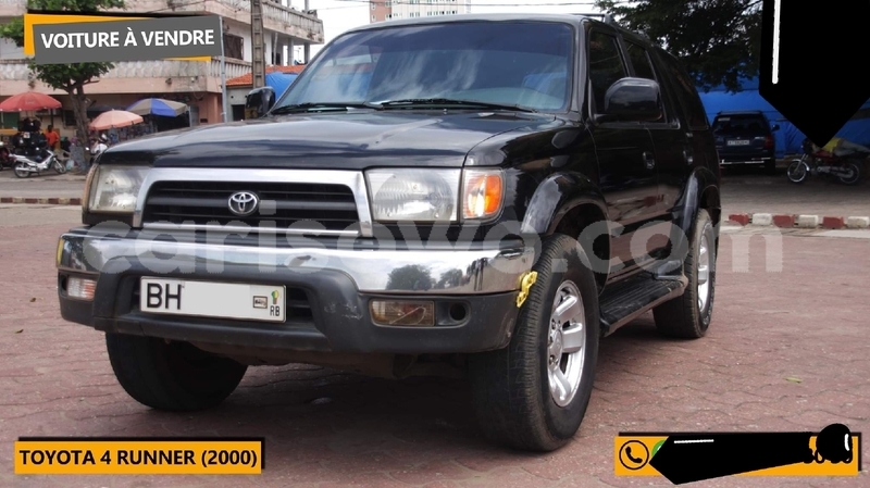 Big with watermark 70140035 1000642673610851 2614453176983617536 o 1568067118156