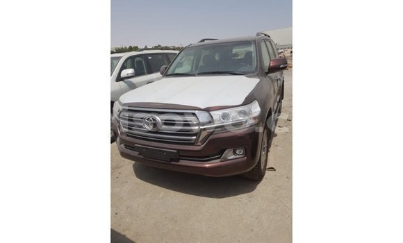 Buy Import Toyota Land Cruiser Brown Car in Import - Dubai in Benign Buy Import Toyota Land Cruiser Brown Car in Import - Dubai in Benign