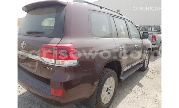 Buy Import Toyota Land Cruiser Brown Car in Import - Dubai in Benign Buy Import Toyota Land Cruiser Brown Car in Import - Dubai in Benign