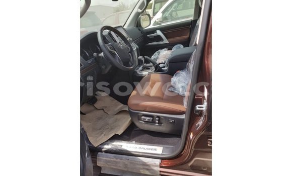 Buy Import Toyota Land Cruiser Brown Car in Import - Dubai in Benign Buy Import Toyota Land Cruiser Brown Car in Import - Dubai in Benign