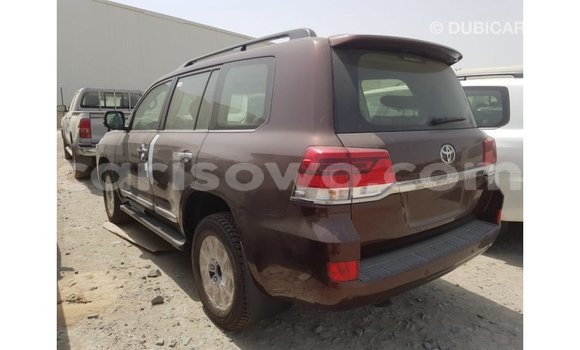 Buy Import Toyota Land Cruiser Brown Car in Import - Dubai in Benign Buy Import Toyota Land Cruiser Brown Car in Import - Dubai in Benign