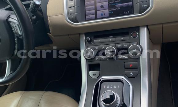 Buy Used Rover Mini Black Car in Cotonou in Benign Buy Used Rover Mini Black Car in Cotonou in Benign