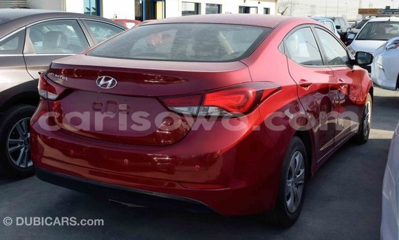 Buy Import Hyundai Elantra Red Car in Import - Dubai in Benign Buy Import Hyundai Elantra Red Car in Import - Dubai in Benign