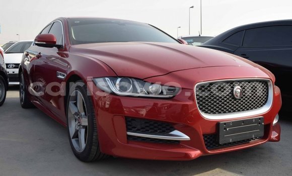 Sayi Imported Jaguar XE Red Mota in Import - Dubai a Benin