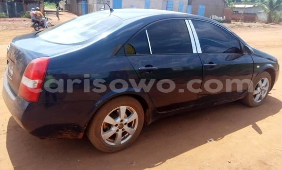 Acheter Occasion Voiture Nissan Primera Bleu à Cotonou, Benin Acheter Occasion Voiture Nissan Primera Bleu à Cotonou, Benin