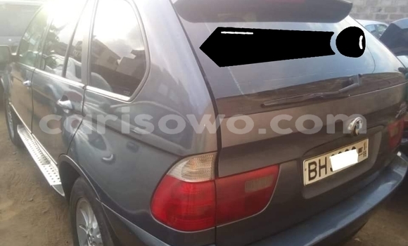 Acheter Occasion Voiture BMW X5 Bleu à Cotonou, Benin Acheter Occasion Voiture BMW X5 Bleu à Cotonou, Benin