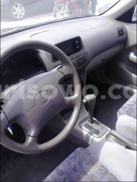 Big with watermark 2