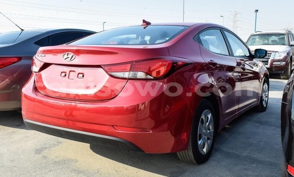 Acheter Import Voiture Hyundai Elantra Rouge à Import - Dubai, Benin Acheter Import Voiture Hyundai Elantra Rouge à Import - Dubai, Benin