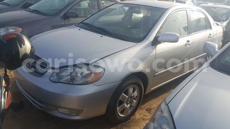 Big with watermark 13043323 1156533394397373 5965236398730505983 n