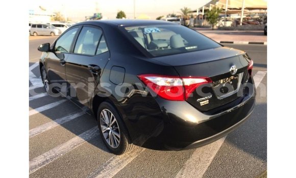 Buy Import Toyota Corolla Black Car in Import - Dubai in Benign Buy Import Toyota Corolla Black Car in Import - Dubai in Benign