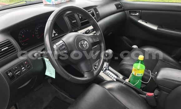 Ra Àlòkù Toyota Corolla Silver Ọkọ̀ in Cotonou ni Benin Ra Àlòkù Toyota Corolla Silver Ọkọ̀ in Cotonou ni Benin