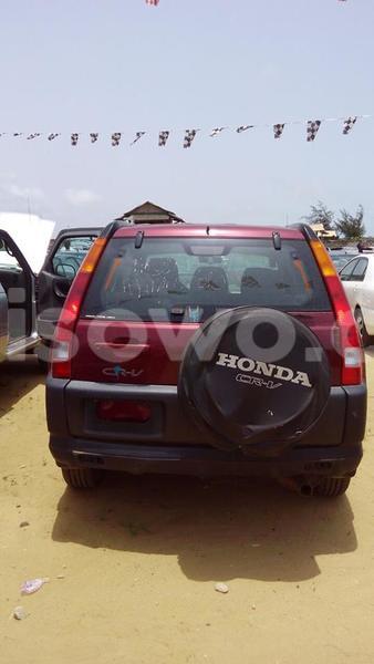 Big with watermark 12923203 1149477331769646 8493838382907840298 n