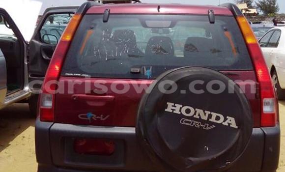 Acheter Neuf Voiture Honda CR-V Rouge à Cotonou au Benin Acheter Neuf Voiture Honda CR-V Rouge à Cotonou au Benin
