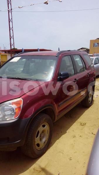 Big with watermark 12938341 1149477265102986 807526156064004189 n