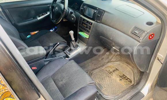 Ra Àlòkù Toyota Corolla Brown Ọkọ̀ in Cotonou ni Benin Ra Àlòkù Toyota Corolla Brown Ọkọ̀ in Cotonou ni Benin