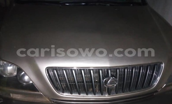 Acheter Occasion Voiture Lexus RX 300 Gris à Cotonou, Benin Acheter Occasion Voiture Lexus RX 300 Gris à Cotonou, Benin