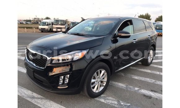 Buy Import Kia Sorento Black Car in Import - Dubai in Benign Buy Import Kia Sorento Black Car in Import - Dubai in Benign